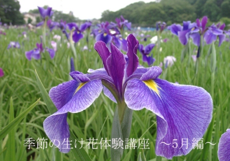 c0124367_14244466.jpg