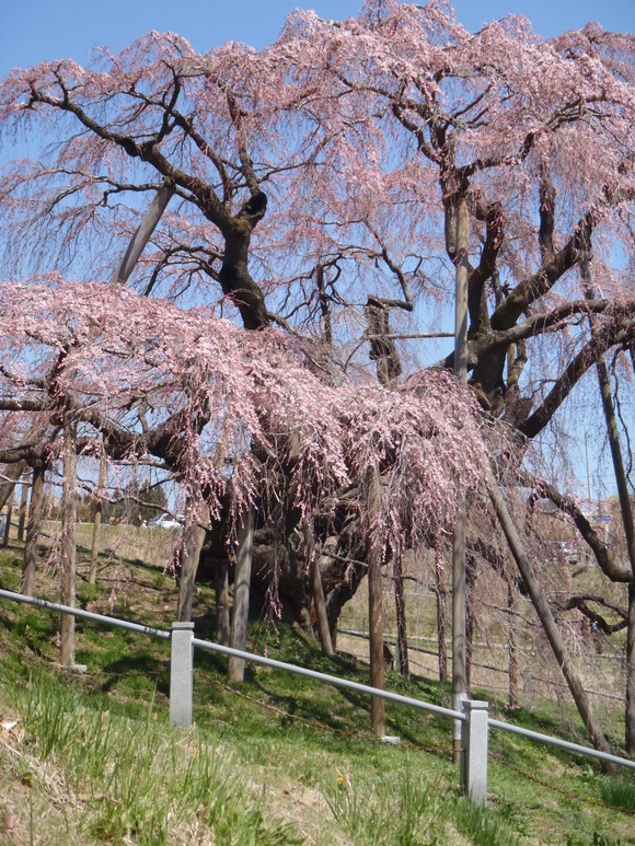 f0238767_10462657.jpg