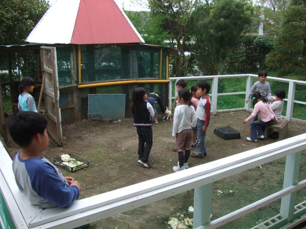 b0197668_14132757.jpg