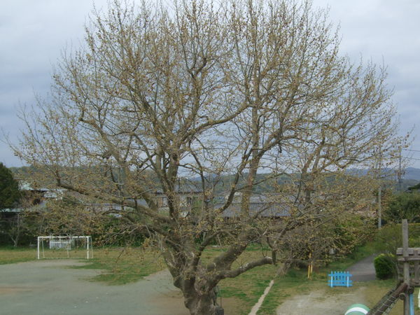 b0197668_1464558.jpg