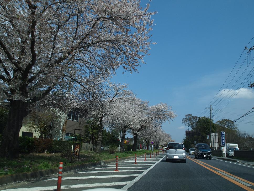 a0042970_1930914.jpg