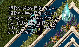 b0190672_2123291.gif