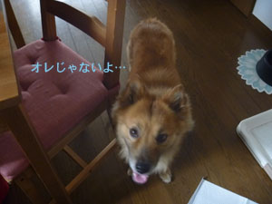 f0238772_18232230.jpg
