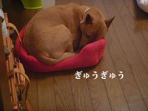 f0238772_1823433.jpg