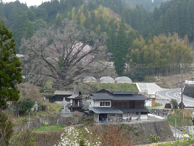 c0152779_0145769.jpg