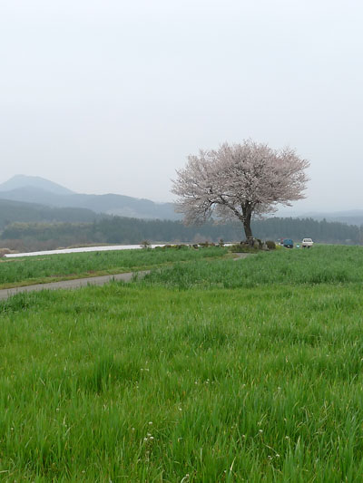c0152779_0184625.jpg