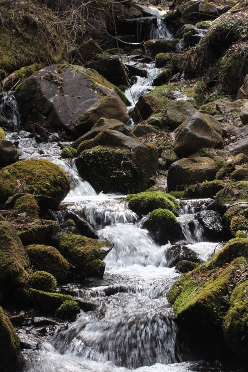 e0024081_19135466.jpg