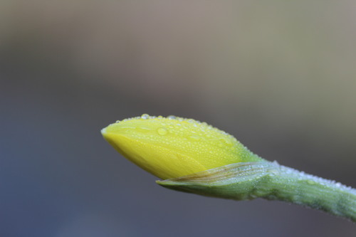 e0024081_1922487.jpg