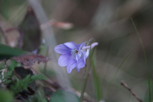 e0024081_1931387.jpg