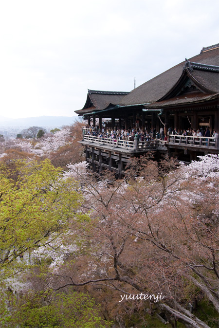春の京都へ_e0179188_1448027.jpg