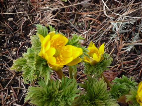 c0215091_18712.jpg