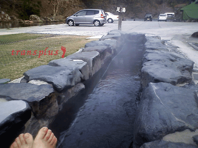 b0031493_17492887.gif