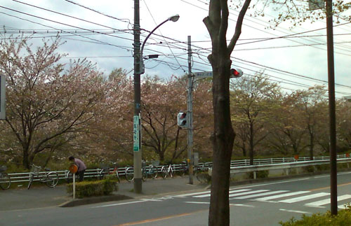 e0153994_19391859.jpg
