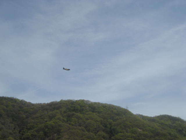 c0131695_171712.jpg