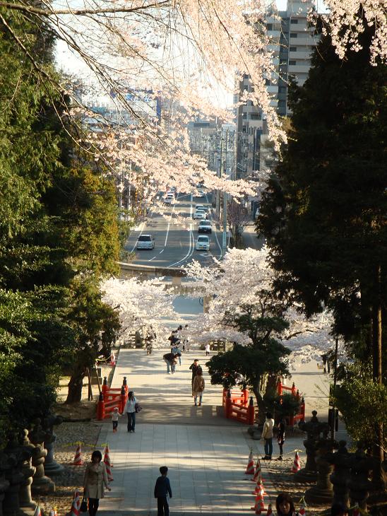 仙台東照宮の桜_f0075595_0353573.jpg