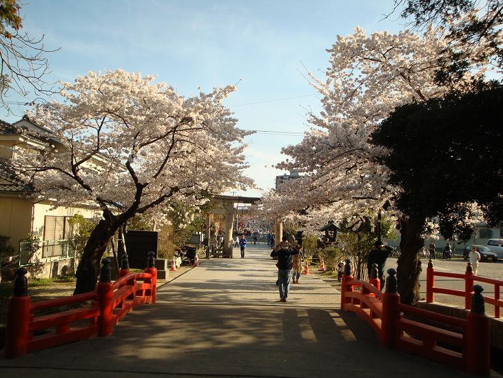 仙台東照宮の桜_f0075595_0355091.jpg