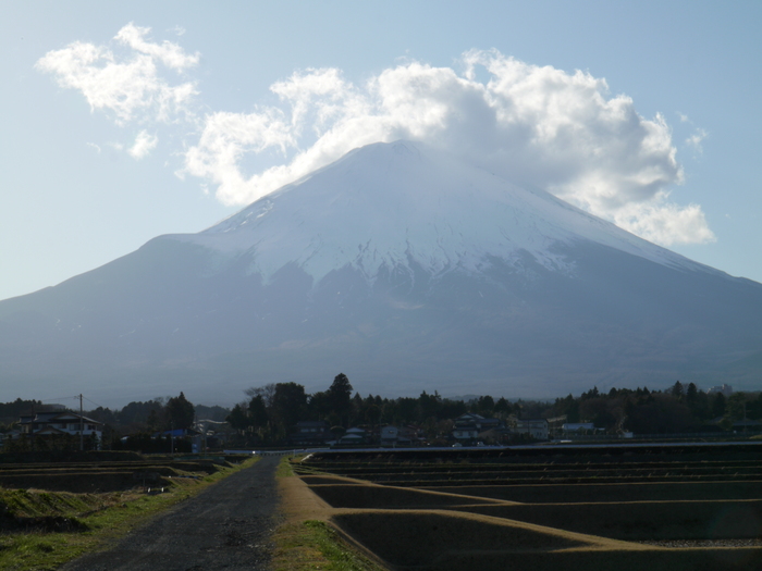 伊豆　箱根　　2日目 _f0227396_17422413.jpg