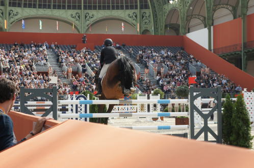 エルメスの馬術ショー_c0090198_5455350.jpg