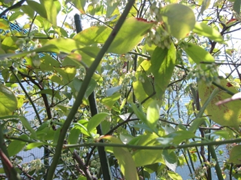 b0186899_941576.jpg