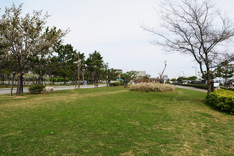 c0102003_5153815.jpg