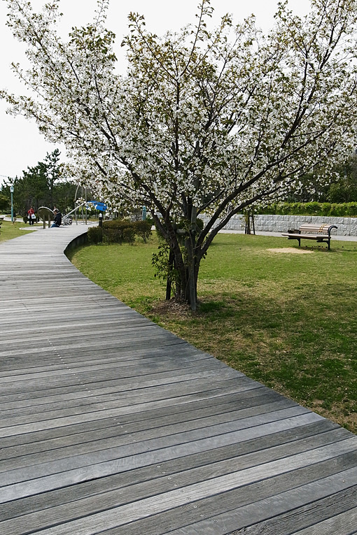c0102003_5164294.jpg