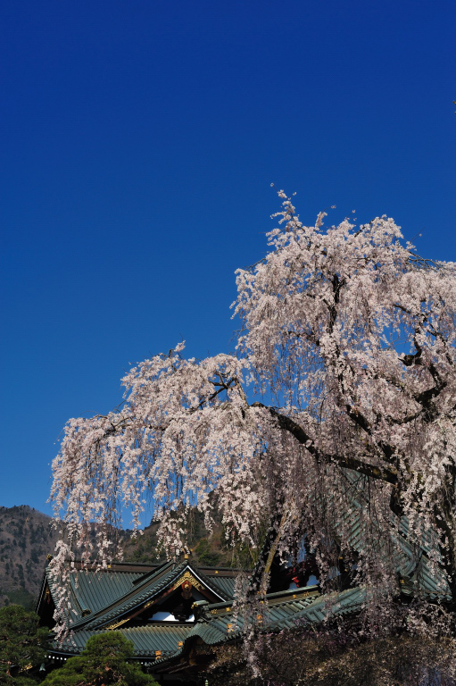 d0119505_15441.jpg