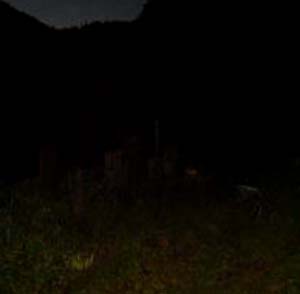 e0103408_23371574.jpg