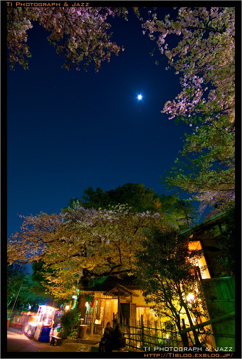 夜桜 広角レンズ比較 シグマ 10-20 vs ペンタックス 10-17 夜桜 広角レンズ比較 シグマ 10-20 vs ペンタックス 10-17