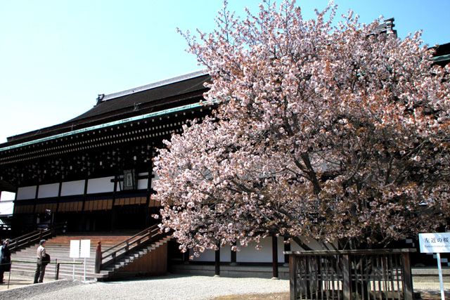 宮廷の庭 京都御所_e0048413_1814635.jpg