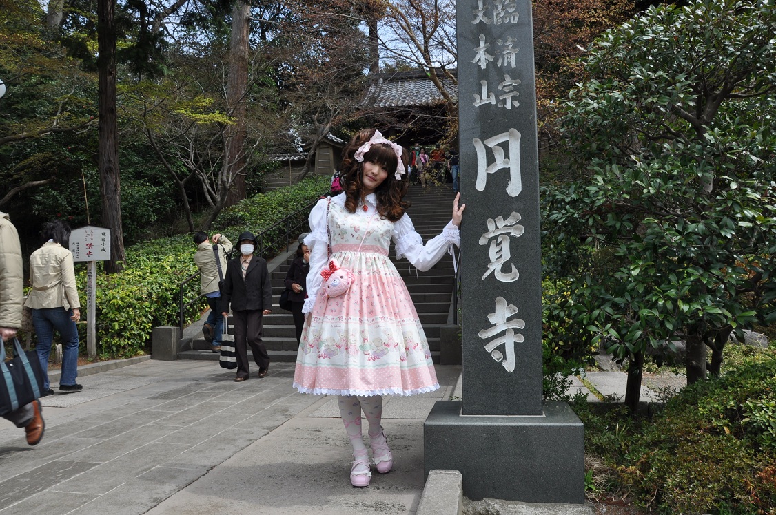 桜 鎌倉へ 壱 円覚寺 東慶寺 鏡の国のにゃりす 桜 鎌倉へ 壱 円覚寺 東慶寺 鏡の国のにゃりす