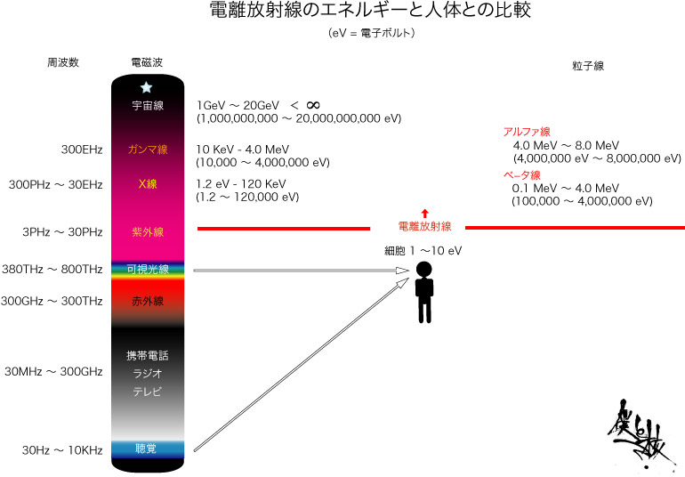 なぜヒトは放射線を知覚できないのか_c0025115_19501636.jpg