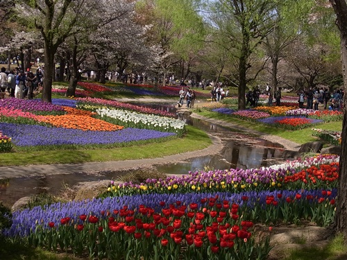 c0223117_1152034.jpg