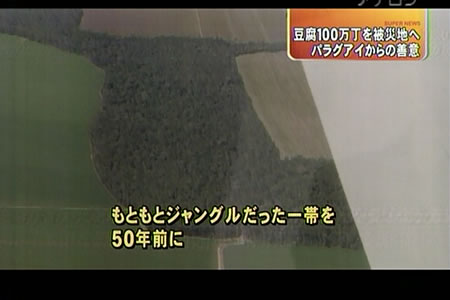 豆腐100万丁支援―東海テレビ『スーパーニュース』_d0063218_11521070.jpg