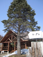 b0147224_2193081.jpg