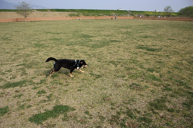 e0162524_12201363.jpg