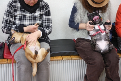 パピーパーティー 2011\'/3月①_e0191026_15353923.jpg