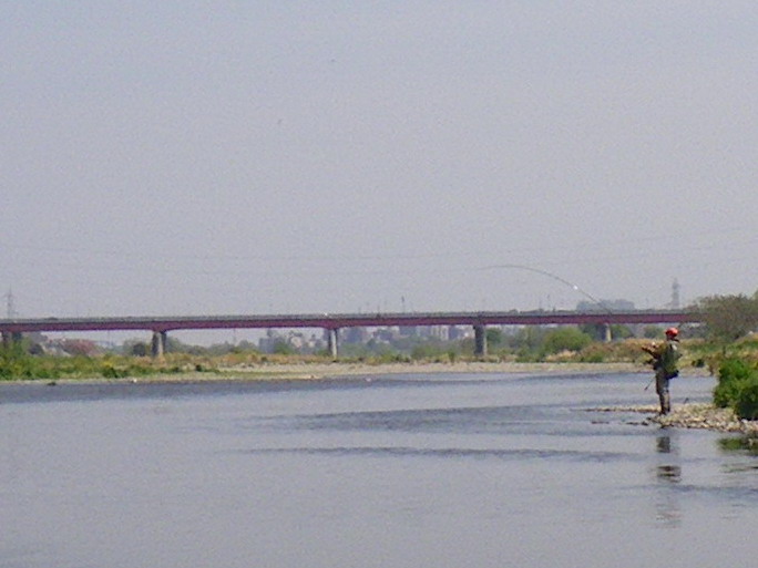 c0202727_75303.jpg