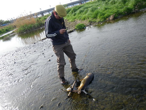 c0202727_77563.jpg