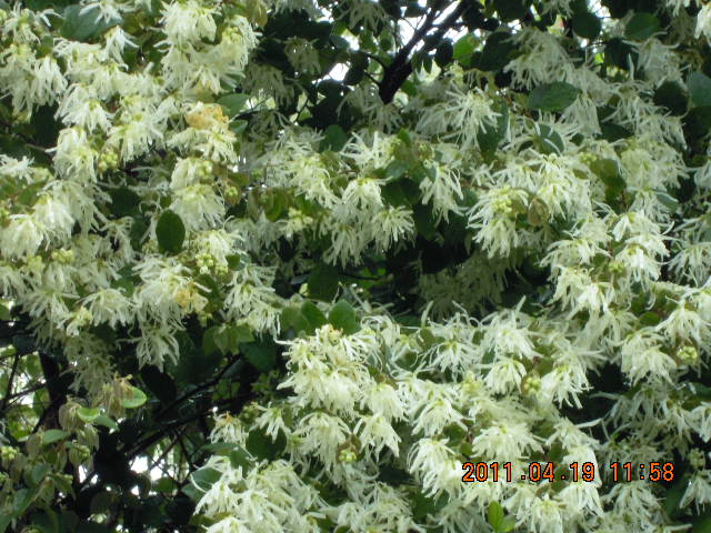 a0050728_2159227.jpg