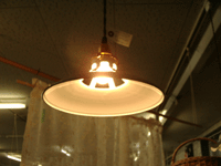 f0224039_17242572.gif