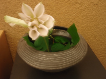 野上薫 陶展 その1_b0132442_1937241.jpg