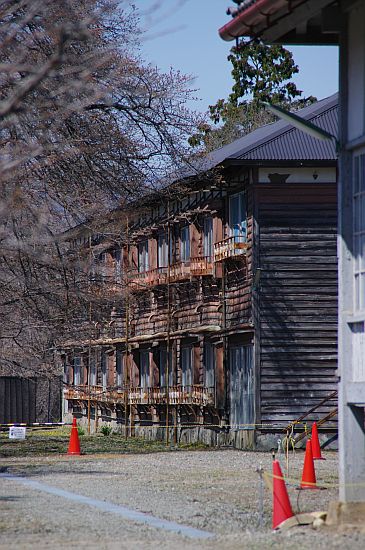 b0212342_22446.jpg