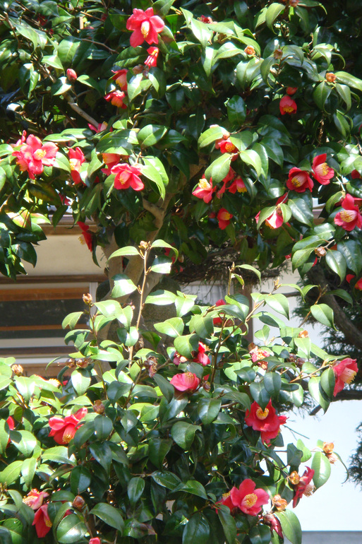 e0226943_0161242.jpg