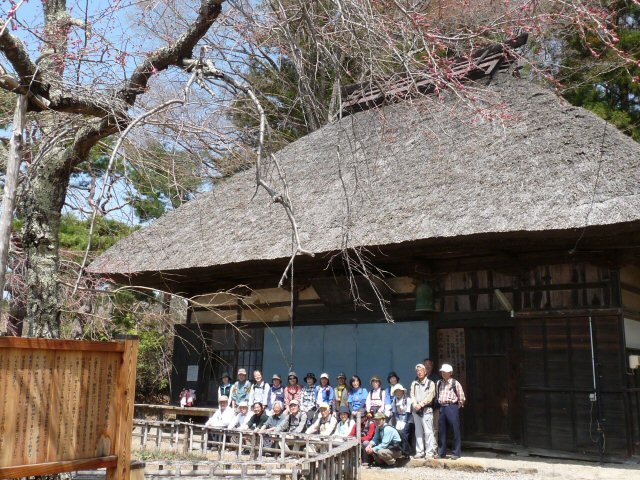 富士見の古木桜_f0019247_1714938.jpg