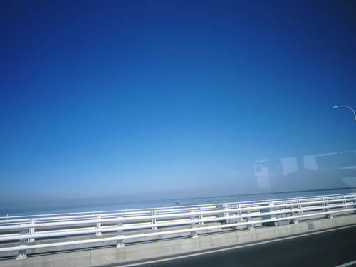 f0205855_14508.jpg