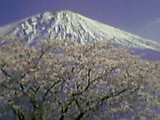 ４月です_b0096957_18222122.jpg