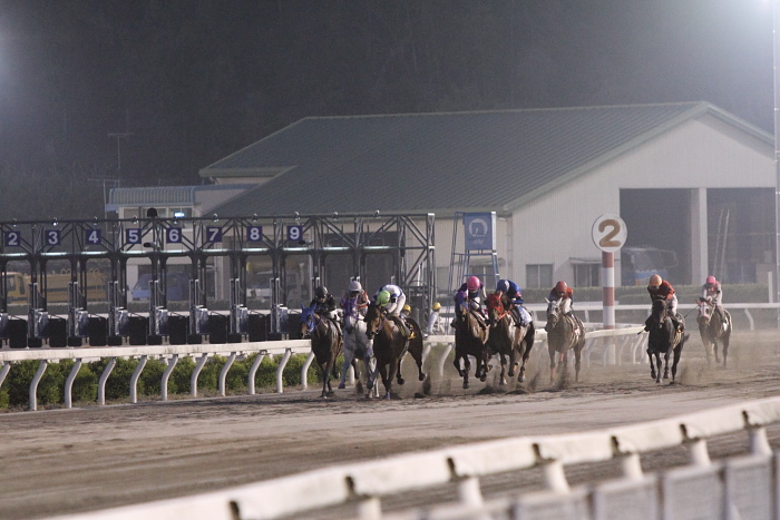 2011年4月16日（土） 高知競馬 7R C2-4選抜馬_a0077663_7213962.jpg