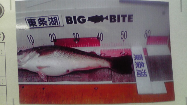 2011/4/16 ビックフィッシュ５４ｃｍ　２キロオーバー_f0002573_2035812.jpg