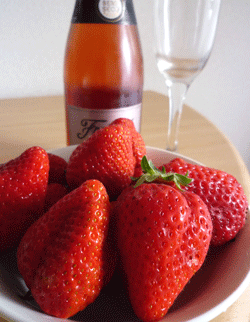a0007078_16382466.gif