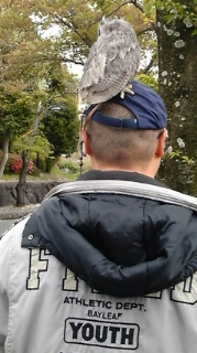 f0138278_22174647.jpg